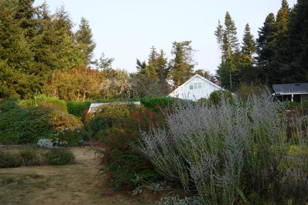 More Photos Of 6605 Sooke Rd, Sooke Land For Sale