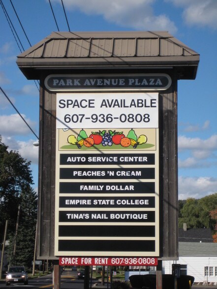 More Photos Of 314-328 Park Ave, Corning Unknown For Lease