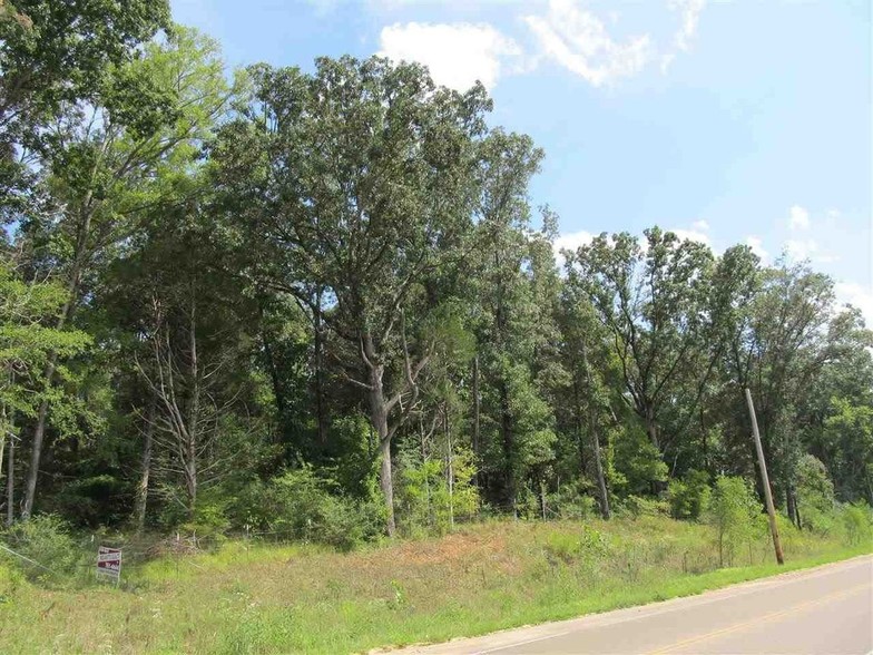 Primary Photo Of Houston Levee Rd @ Pisgah, Cordova Land For Sale