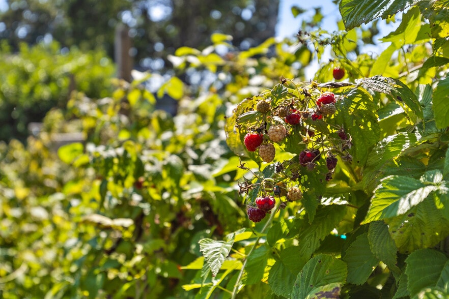 More Photos Of 3872 Brayton Mountain Rd, Graysville Skilled Nursing Facility For Sale