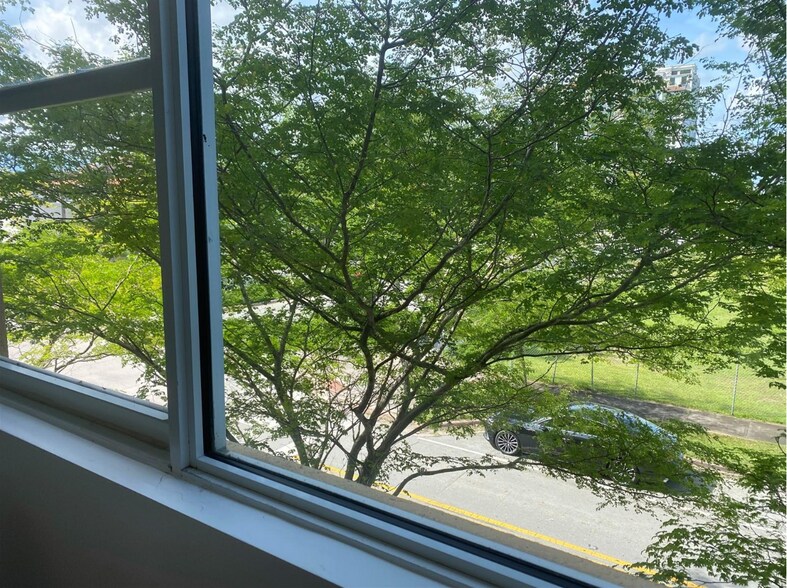 More Photos Of 1607 Ponce de Leon, Coral Gables Apartments For Sale