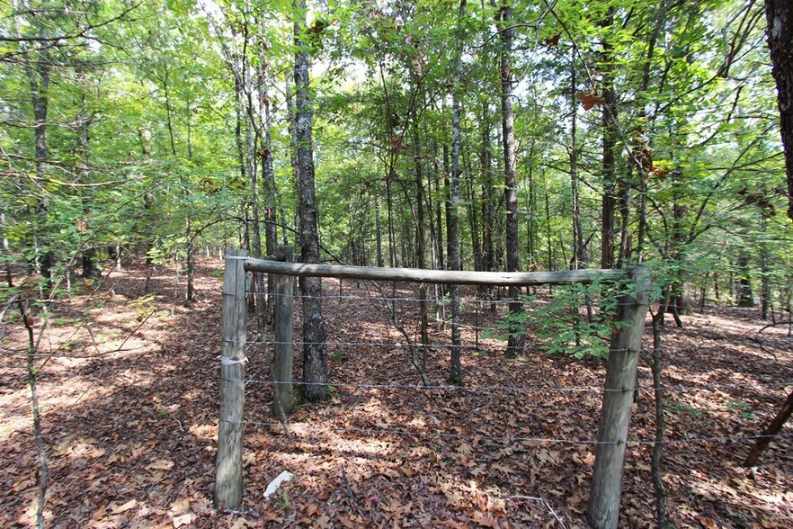 More Photos Of 226 Blythe rd, Greenbrier Land For Sale