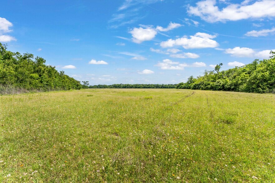 More Photos Of 10840 FM 442, Boling Land For Sale