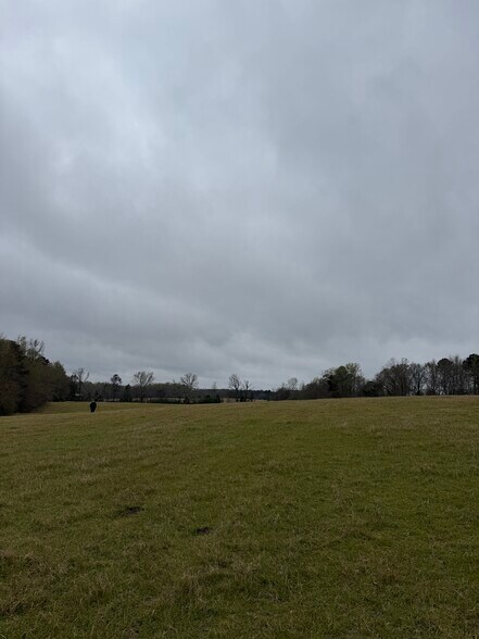 More Photos Of 1681 Sibley School rd, Greensboro Land For Sale