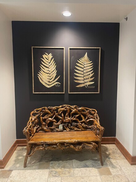 More Photos Of 335 E Sonterra Blvd, San Antonio Medical For Lease