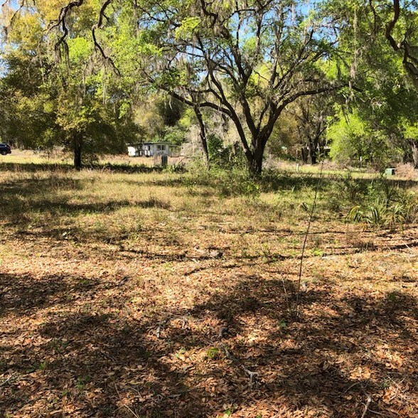 More Photos Of 2001 N Highway 41 Hwy, Inverness Land For Sale