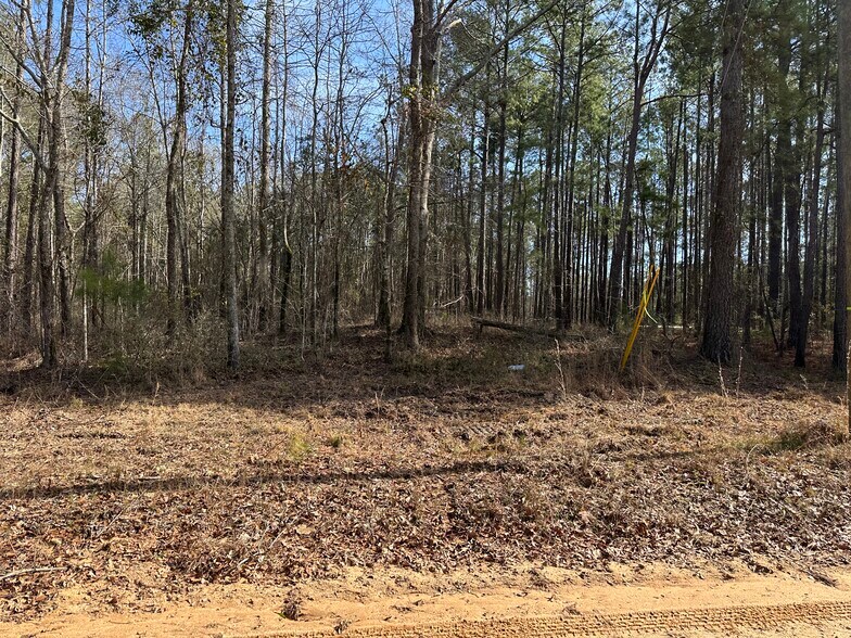More Photos Of 184 Young Rd, Milledgeville Land For Sale