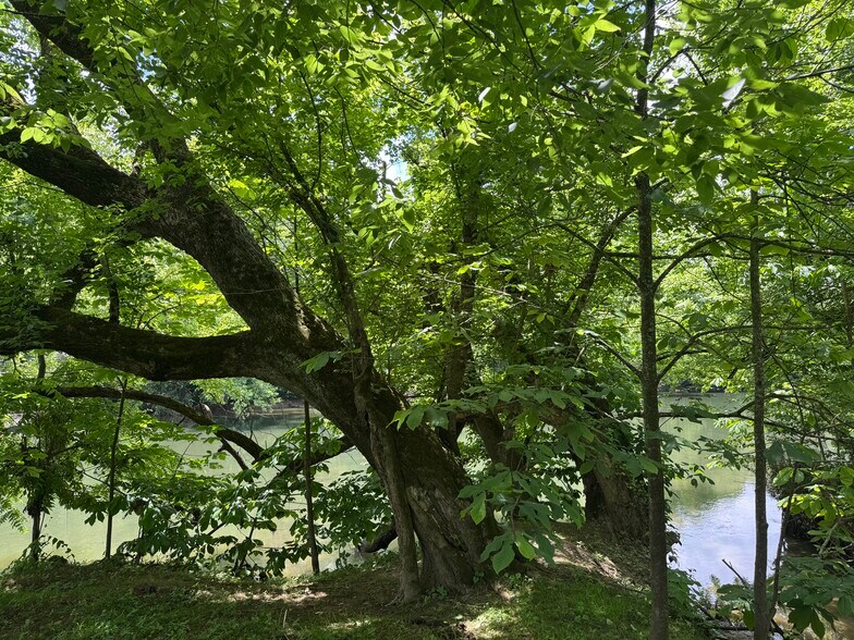 More Photos Of 210 Ridge Haven Dr, Surgoinsville Land For Sale