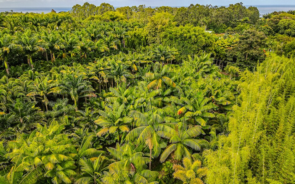 More Photos Of 27-2760 Hawaii Belt Rd, Pepeekeo Land For Sale