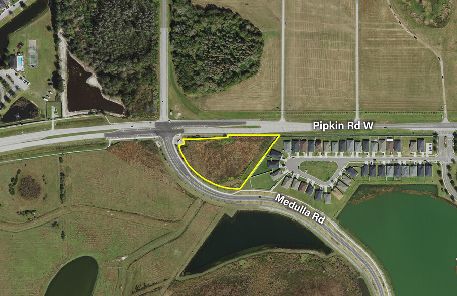 Primary Photo Of Pipkin Rd W & Medulla rd, Lakeland Land For Sale