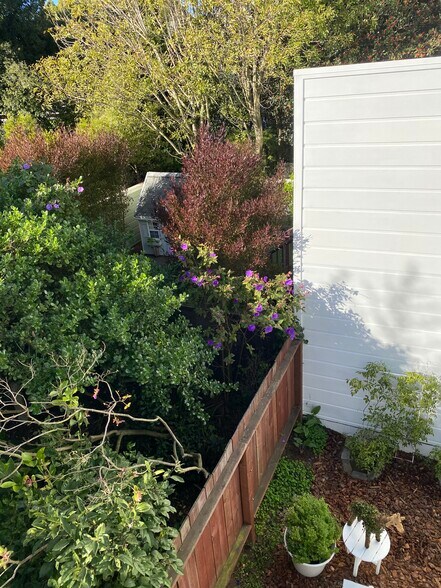 More Photos Of 3516 Sacramento St, San Francisco Storefront Retail Office For Lease