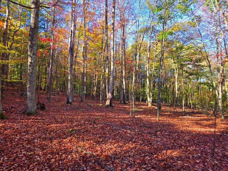 More Photos Of 0 Old Pluto Rd, Shady Spring Land For Sale