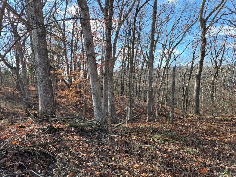 More Photos Of Logan School Rd. (30.2+/- Acres), New Florence Land For Sale