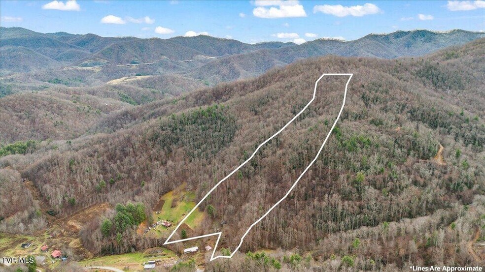 More Photos Of TBD Stockton Rd rd, Flag Pond Land For Sale