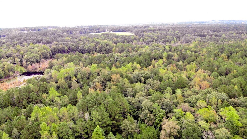 More Photos Of 300 Milton Welch (47+ acres - address # est) Rd, Sanford Land For Sale