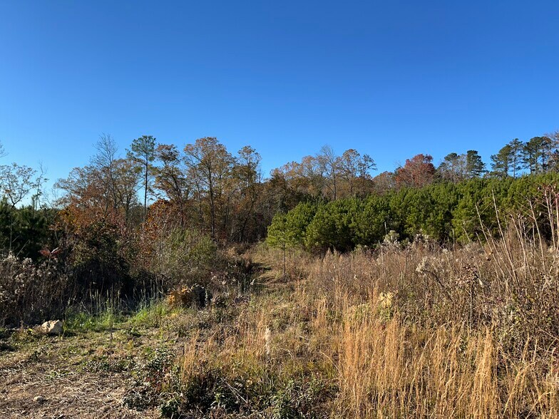 More Photos Of 0 Industrial Park dr, Wilsonville Land For Sale