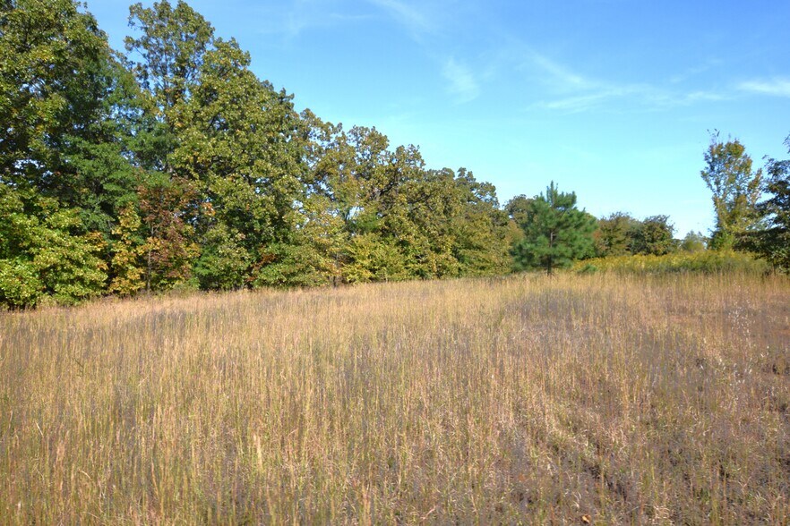 More Photos Of 1312 Caddo st, Muldrow Land For Sale