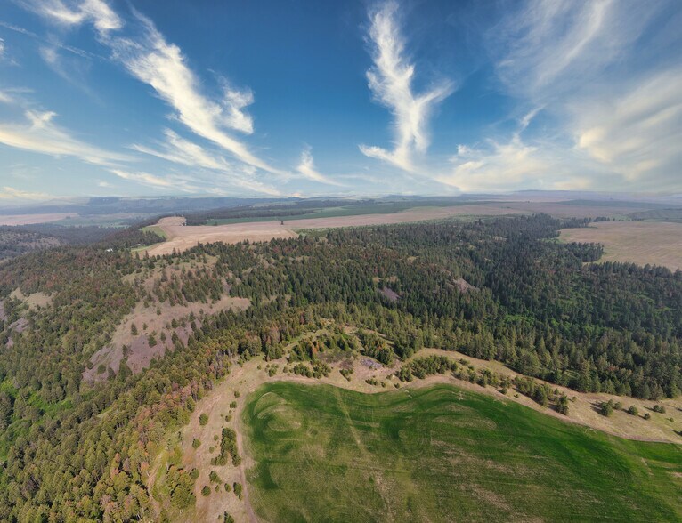 More Photos Of 45XXX Devore Rd, Davenport Land For Sale