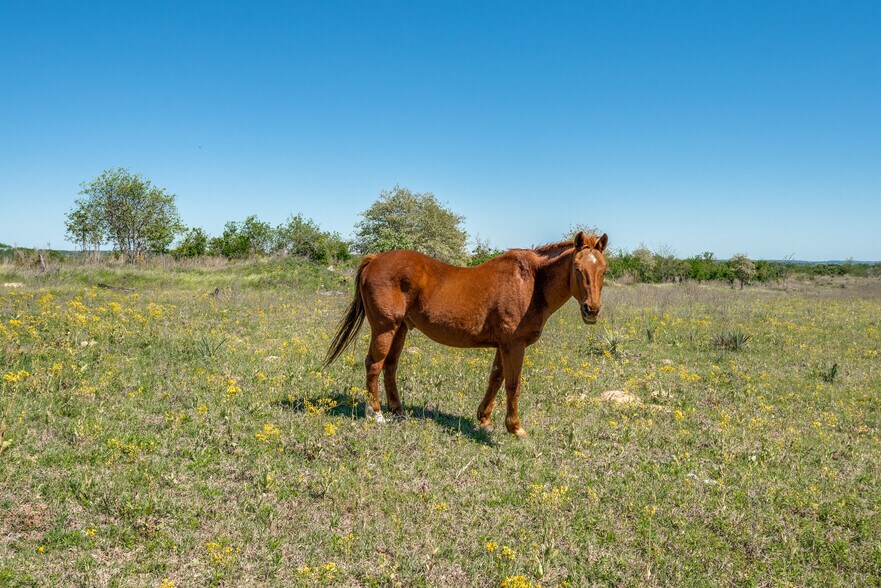 More Photos Of 300 VZ County Road 4718, Murchison Land For Sale