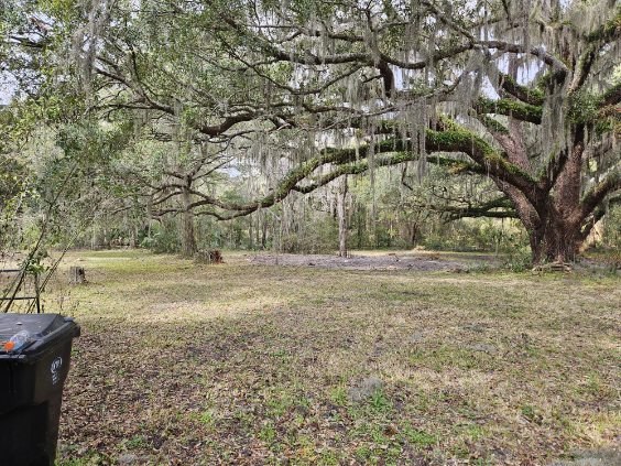More Photos Of 474455 E Sr 200 Highway A1A, Fernandina Beach Land For Lease