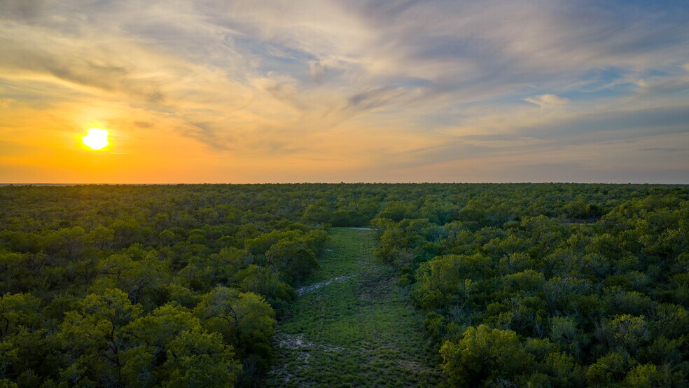 More Photos Of FM 791, Campbellton Land For Sale