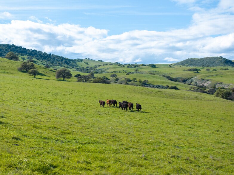 More Photos Of 48400 Reliz Canyon Rd, Greenfield Land For Sale