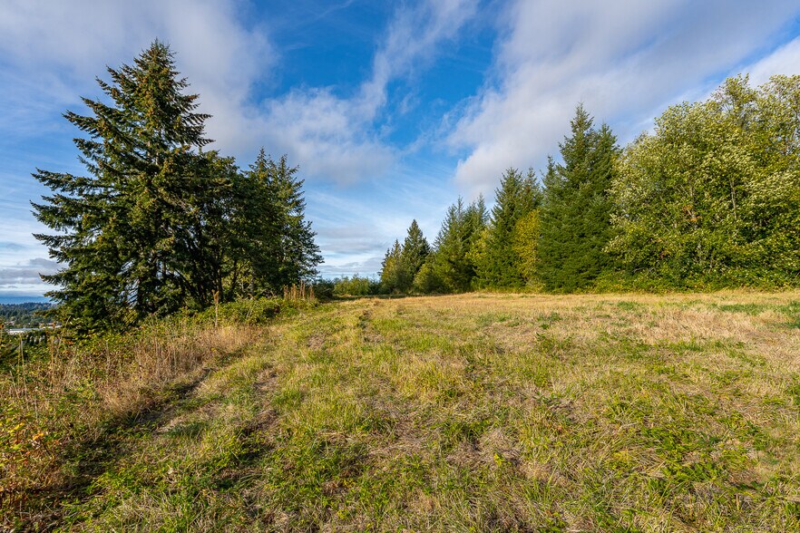 More Photos Of 0 Salzer Creek (was Fair St), Centralia Land For Sale