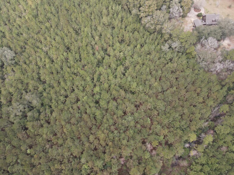 More Photos Of 0 Baldwin St, Satsuma Land For Sale