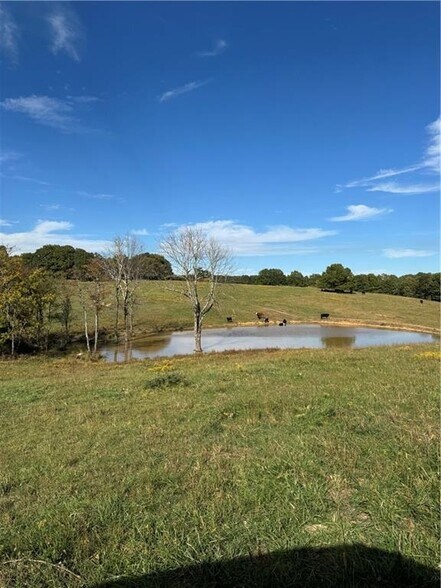 More Photos Of 17140 Skelton Rd, Winslow Land For Sale