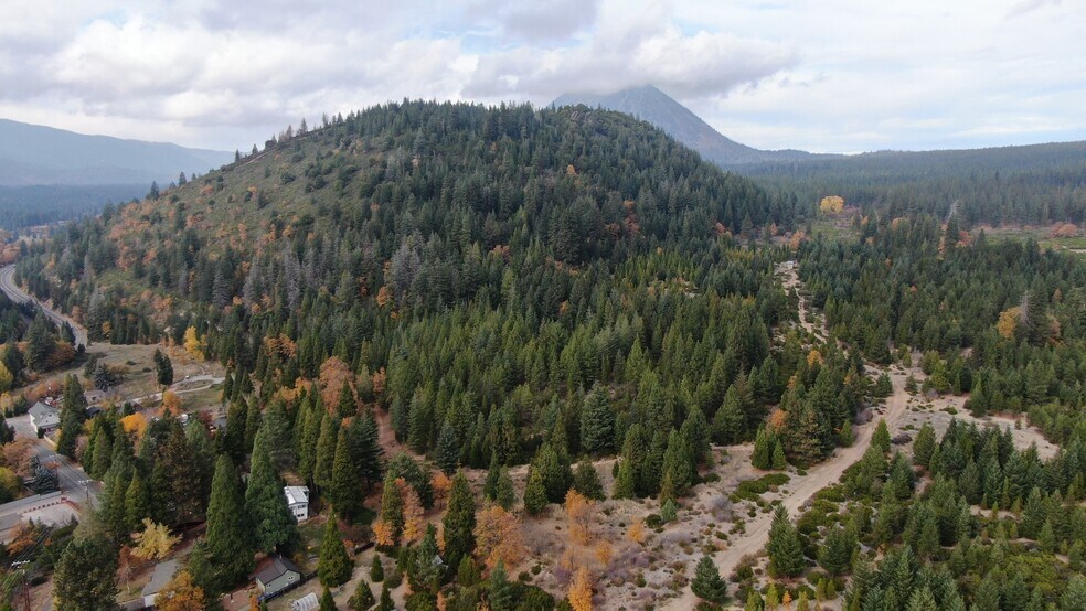 More Photos Of 210 Ski Village Dr, Mount Shasta Distribution For Sale