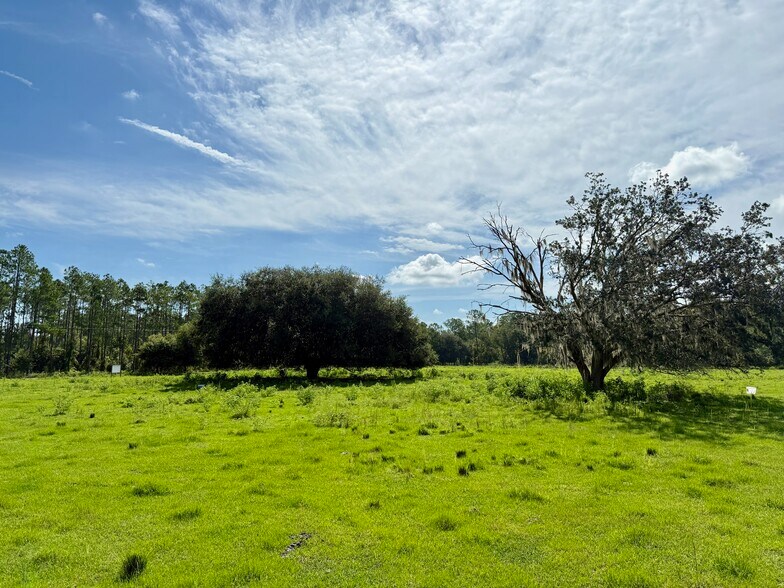 More Photos Of 10460 Ehren Cutoff, Land O' Lakes Land For Sale