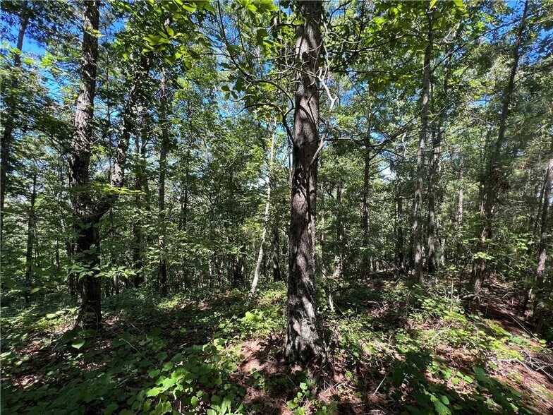 More Photos Of 16 Hawks Branch #123, White Land For Sale