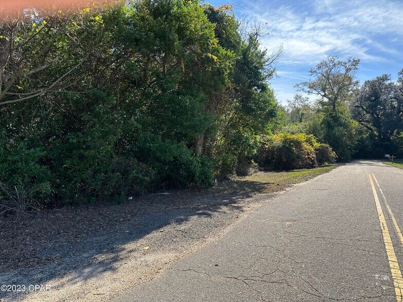 More Photos Of 000 Highway 231, Campbellton Land For Sale