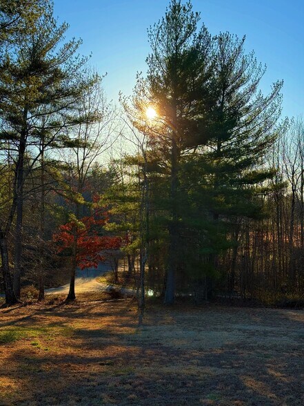 More Photos Of 142 Mace Rd, Casar Land For Sale