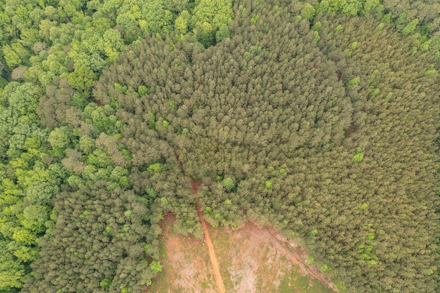 More Photos Of HWY 515 & Hidden Creek rd, Jasper Land For Sale