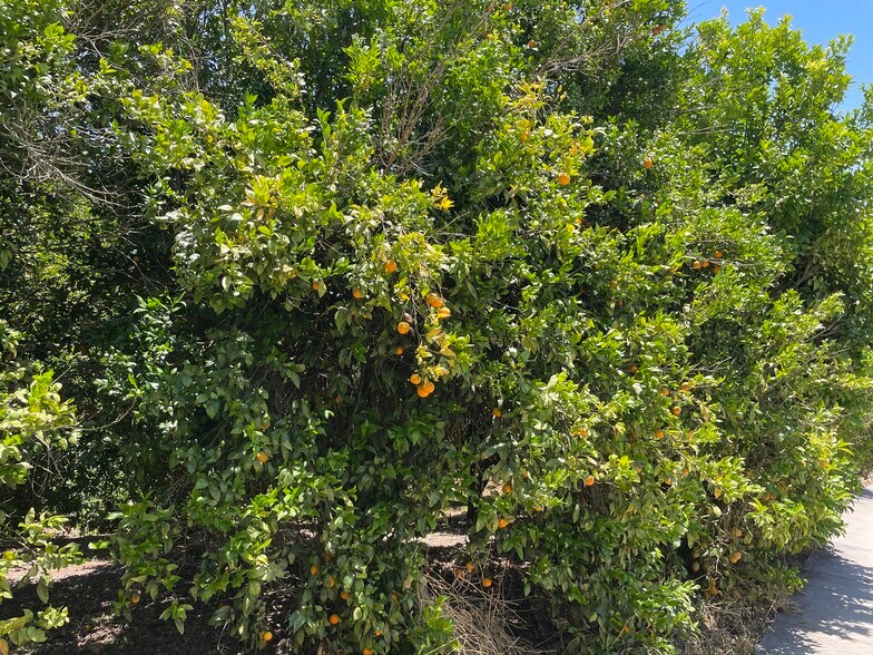 More Photos Of 44952 Vista del Mar, Temecula Winery Vineyard For Sale