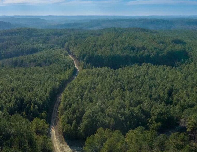 More Photos Of 0 AL 13, Nauvoo Land For Sale