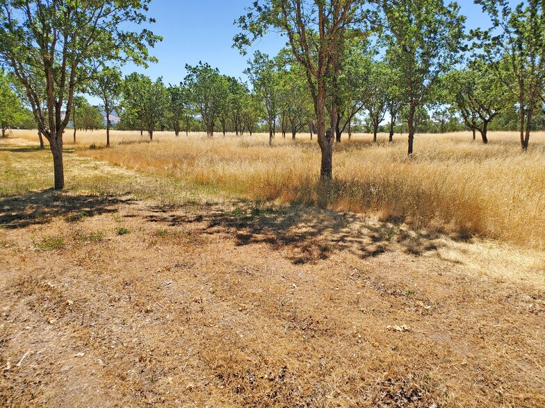More Photos Of 4001 Coral Sea Ave, Santa Rosa Land For Sale