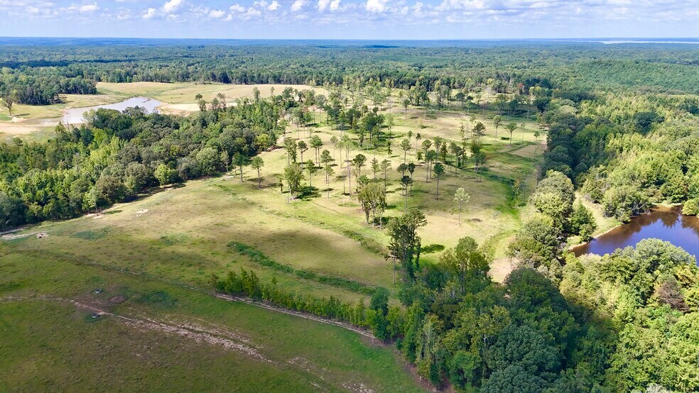 More Photos Of 211 Acres - County Road 107, Oxford Land For Sale