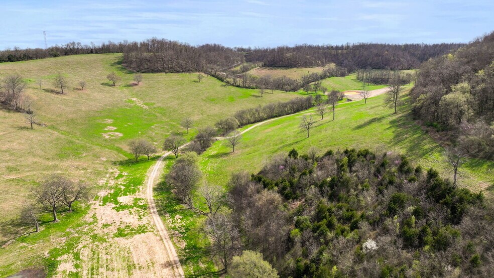 More Photos Of 0 McLaughlin Rd, Shelbyville Land For Sale