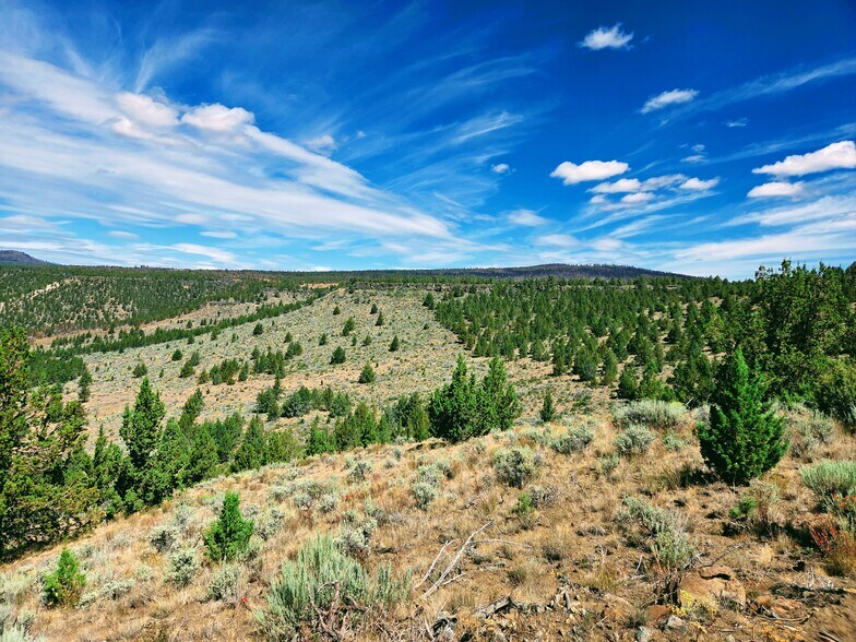 More Photos Of 32611 Tackman Rd, Prineville Land For Sale