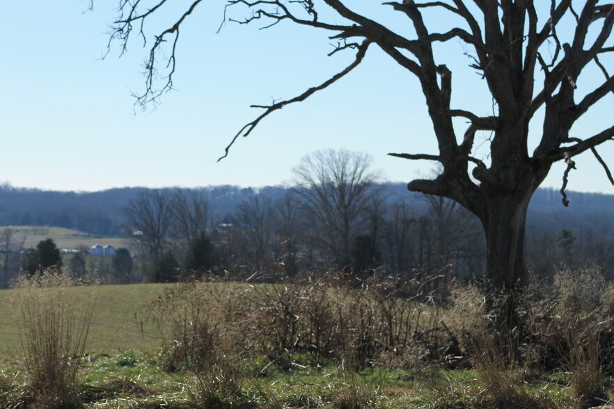 More Photos Of 5690 Rocky Mount Church Rd, Polkton Land For Sale