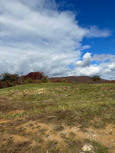 More Photos Of 0 Cove, Roanoke Land For Sale