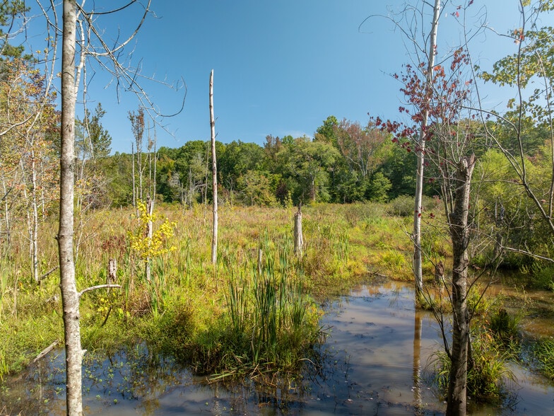 More Photos Of 00 Nash Mill Extension rd, Fountain Inn Land For Sale
