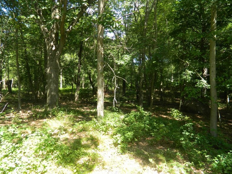 Primary Photo Of 184 Shore Rd, Old Lyme Land For Sale