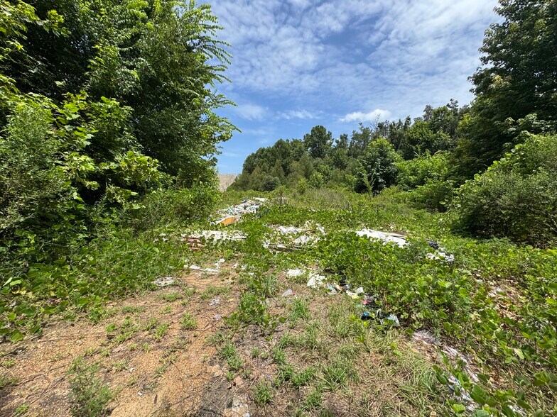 More Photos Of 24022 Highway 12, Lexington Land For Sale