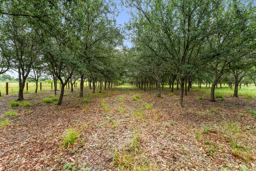 More Photos Of 23111 FM 1462 Rd, Damon Land For Sale