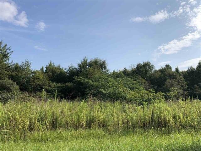 More Photos Of 614 N Main St, Atmore Land For Sale