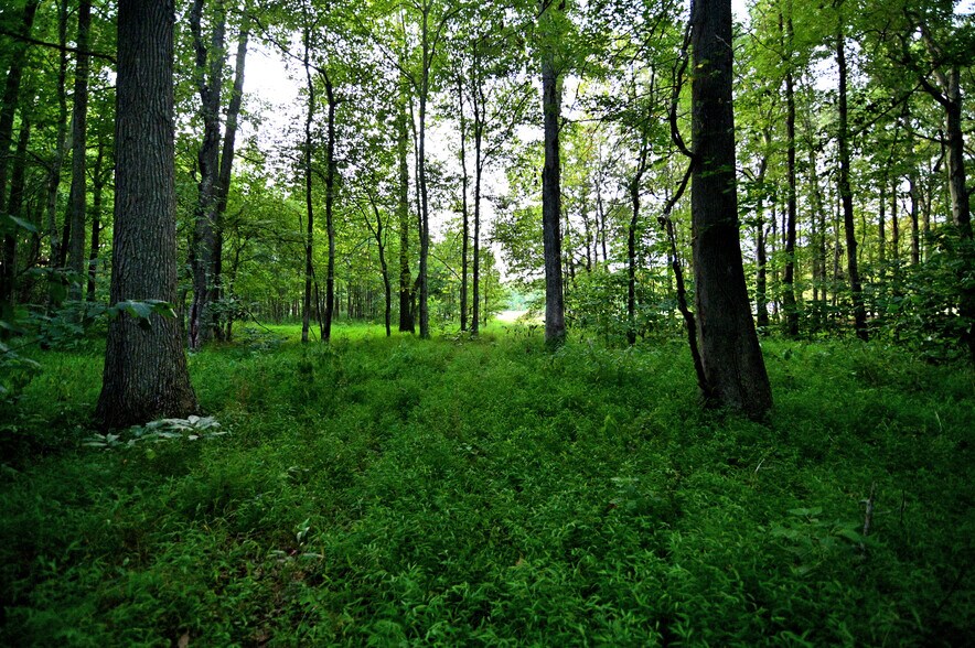 More Photos Of Cues Favorite @ La Plata Rd Route 488, Waldorf Land For Sale