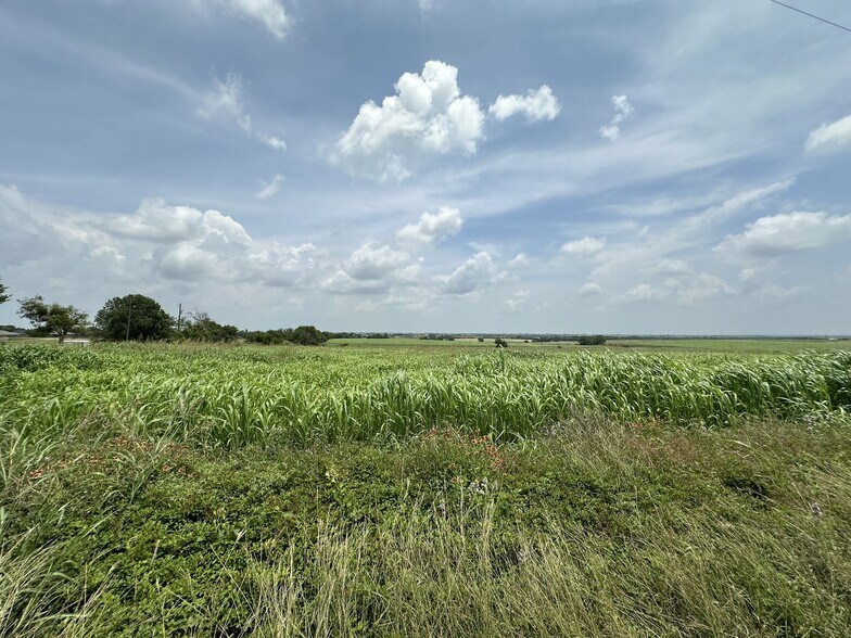 More Photos Of Farm to Market Road 935, Troy Land For Sale